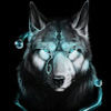 wolvez06